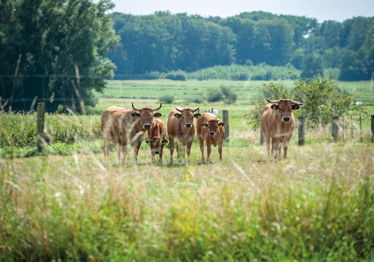 Feldgang Ein Gaestehaus! Upahl Eksteriør billede